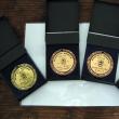 Medaliile - Premiul Bucovinei şi cele trei menţiuni