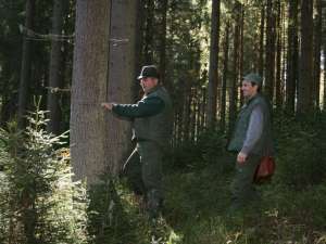 În cadrul Ocolului Silva Bucovina lucrează silvicultori cu experienţă