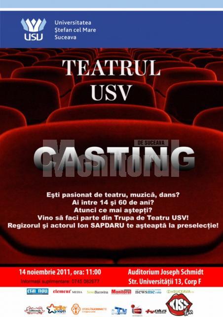 Casting pentru Teatrul USV