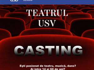 Casting Teatru USV
