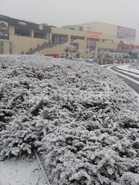 Peisaj de iarnă la Iulius Mall, deşi nu a nins absolut deloc
