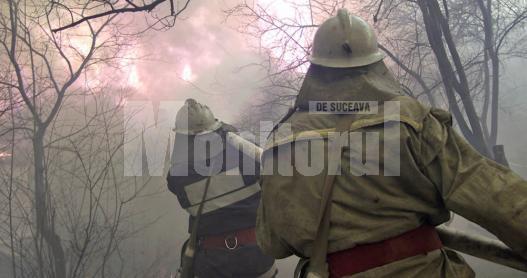 În trei zile pompierii au intervenit la mai mult de zece incendii de vegetaţie uscată