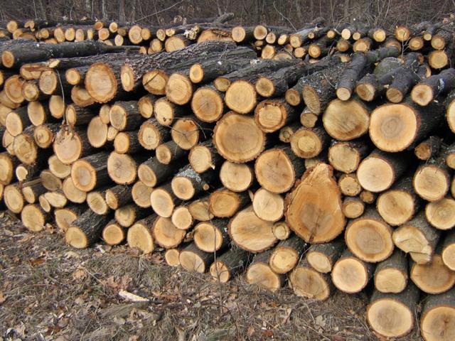 Subvenţii pentru achiziţionarea lemnului necesar încălzirii locuinţelor vor fi date pentru 34.575 de familii din judeţ