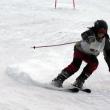 În perioada 20 – 22 ianuarie, la Vatra Dornei a avut loc Concursul Naţional de Schi pentru Copii “Bucuriile zăpezii”