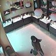 Imaginile filmate de camerele din interiorul magazinului surprind momentul jafului