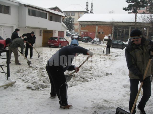 Locatarii unui bloc din cartierul George Enescu s-au adunat pentru a curăţa parcarea