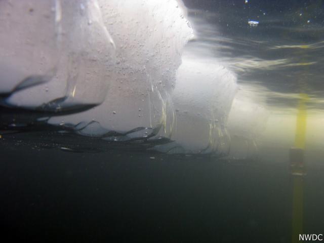 Grosimea stratului de gheaţă. Poză subacvatică