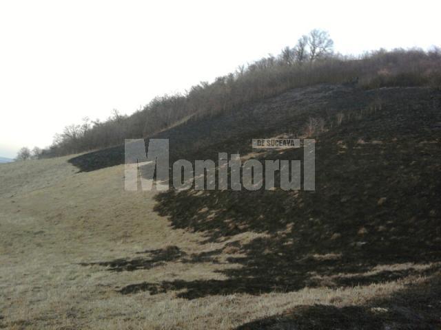 În incendiul de sâmbătă, au ars aproximativ zece hectare de vegetaţie uscată şi 200 de mp din litiera pădurii