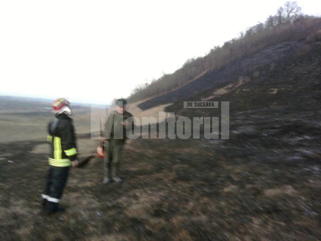În incendiul de sâmbătă, au ars aproximativ zece hectare de vegetaţie uscată şi 200 de mp din litiera pădurii