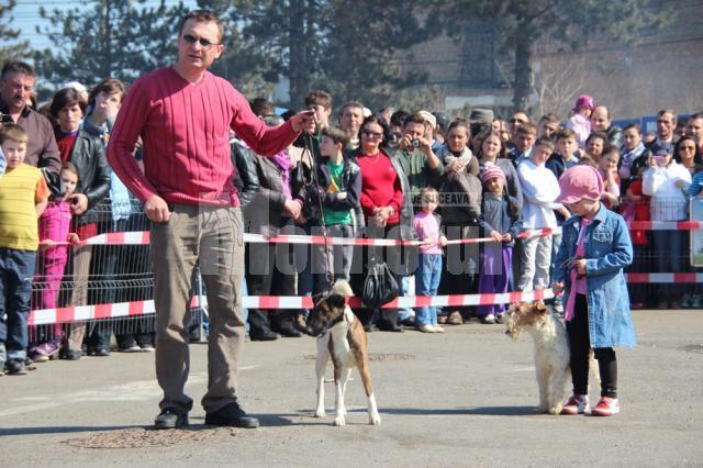 Prezentare şi demonstraţie de dresaj canin cu rase dintre cele mai diferite, în parcarea Shopping City