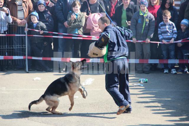 Prezentare şi demonstraţie de dresaj canin cu rase dintre cele mai diferite, în parcarea Shopping City