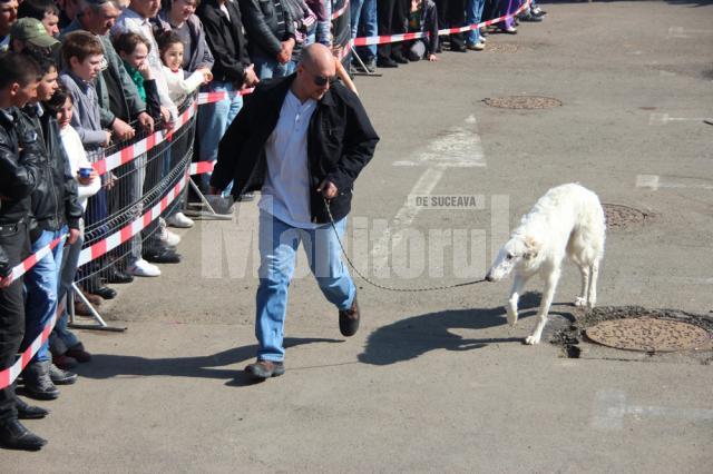 Prezentare şi demonstraţie de dresaj canin cu rase dintre cele mai diferite, în parcarea Shopping City