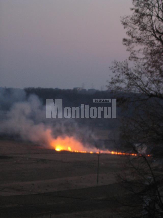 Agricultorii care incendiază vegetaţia uscată de pe terenurile agricole riscă să-şi piardă parţial sau chiar total subvenţiile pe suprafaţă