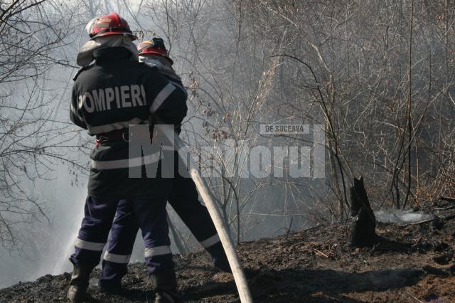 Pompierii au intervenit ieri la 14 incendii de vegetaţie uscată