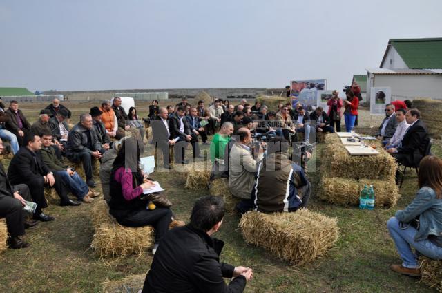 Ministerul Agriculturii lansează un program pentru crescătorii de bovine pentru carne