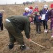 Mii de puieţi de salcâm au fost plantaţi pe aproape un hectar de teren degradat la Voitinel