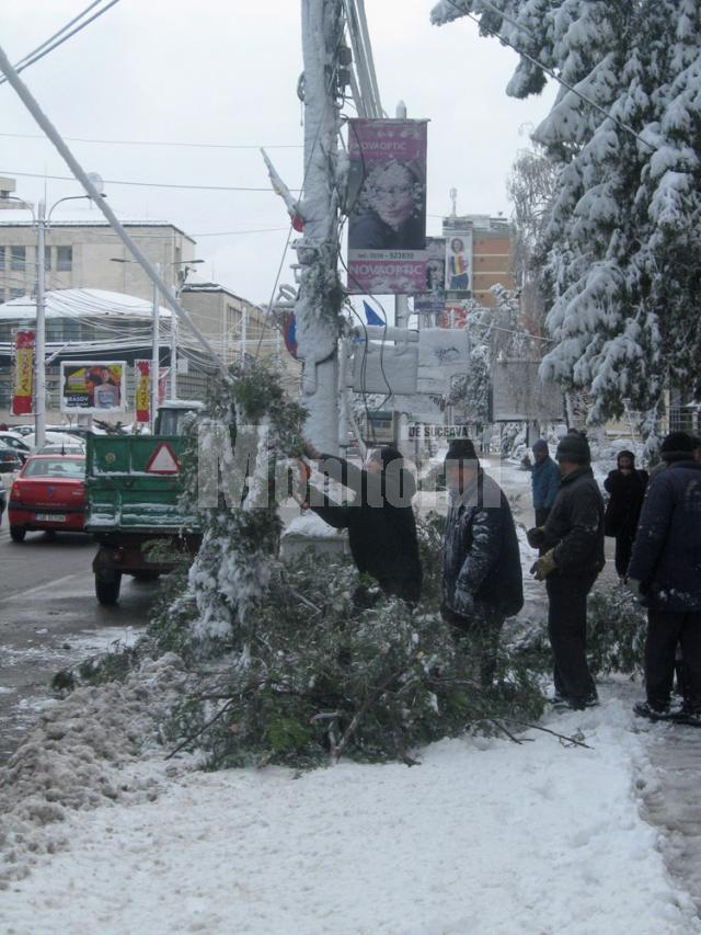 Intervenţii de îndepărtare a arborilor rupţi de greutatea zăpezii
