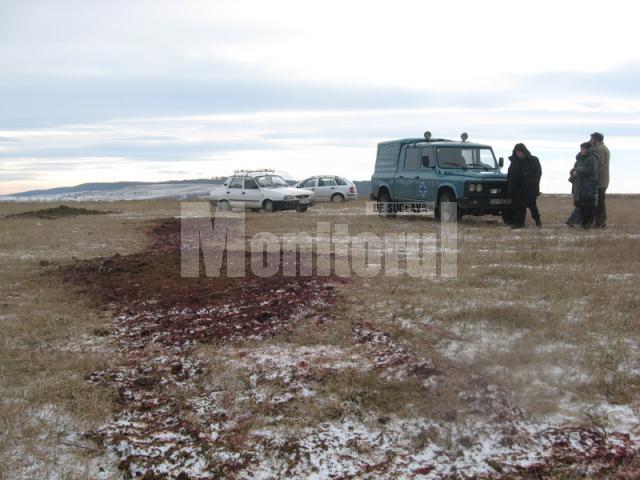 Mizeria gasită în 2010 de autorităţi în câmp