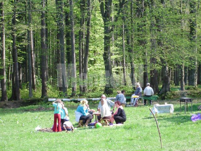 Mersul la picnic, una din principalele modalităţi de petrecere a timpului liber
