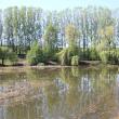 Terenul preluat de Primăria Suceava are în dotare şi două lacuri