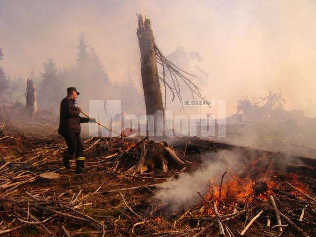 Aproape 400 de persoane au muncit de duminică după-amiază până luni seară, pentru stingerea incendiului