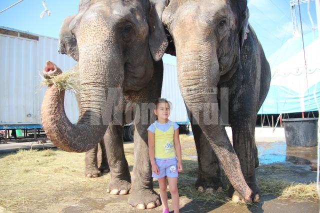 Vanessa (5 ani) e cea mai bună prietenă a elefanţilor de la Circul Gärtner
