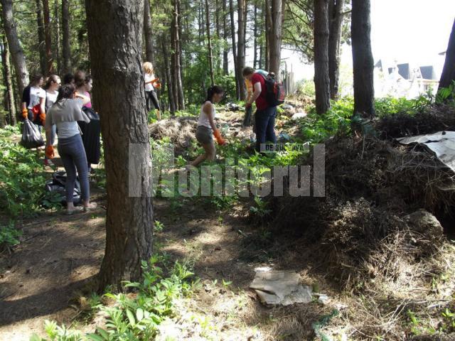 Voluntari de la „Salvaţi Copiii” Suceava, la strâns gunoaie în pădurea Zamca