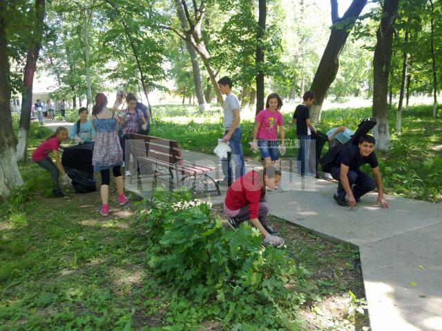 Voluntarii de la Dumbrăveni