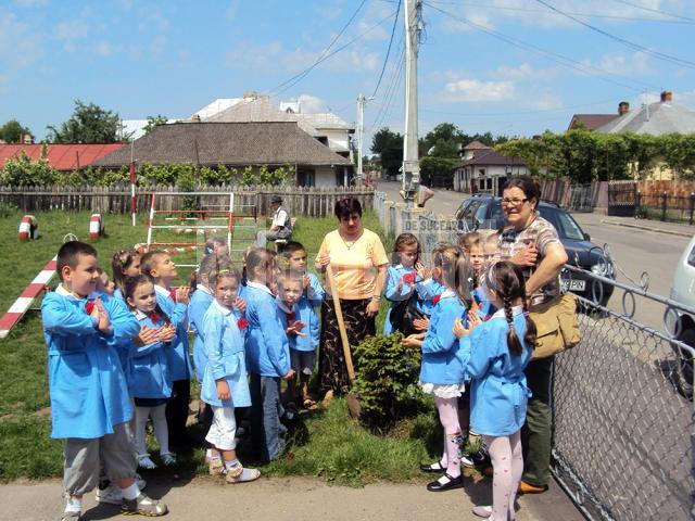 Copiii de la Grădiniţa „Lizuca” Fălticeni au participat la acţiunea Ziua Eno – Plantare de copaci
