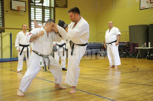 Instructori şi practicanţi de arte marţiale din Suceava, la cursuri la Berlin