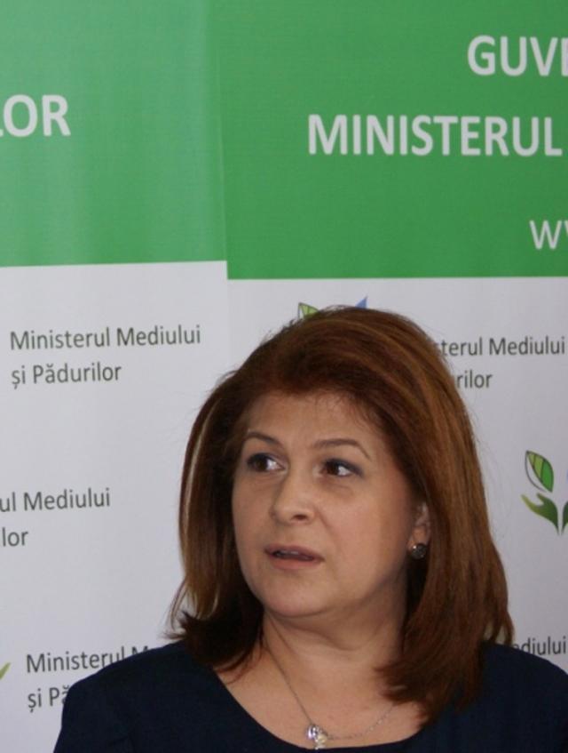 Rovana Plumb: Vom merge pe o variantă care este în acord cu normele europene