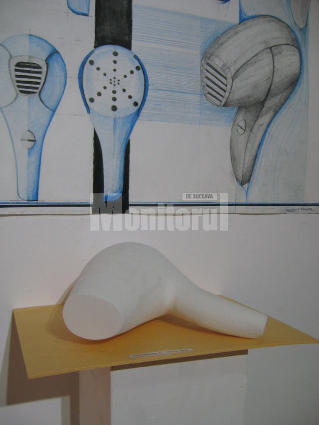 Secvenţe din expoziţia Absolvent Art 2012