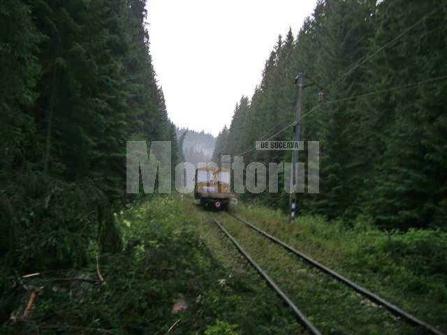 Trenuri blocate de zeci de copaci rupţi, din cauza unei furtuni violente