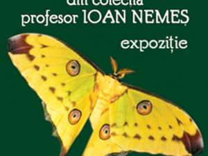 Fluturi exotici din colecţia profesorului Ioan Nemeş
