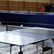 Turneul A de tenis de masă din Circuitul naţional AMATUR, dotat cu cupa “Zilele Municipiului Fălticeni”