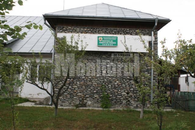 Centrul de colectare a fructelor de pădure de la Sadova