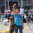 Demonstraţia de dresaj canin de la Shopping City Suceava