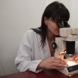 Examenul prin digestie artificială se face numai în laboratoare sanitar-veterinare sau la laboratoare zonale
