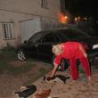 Scene de groază cu câini morţi, miercuri seara, pe strada Petru Rareş din Suceava