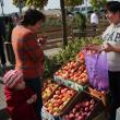 Producătorii de mere din zona Fălticeni au venit cu o ofertă extrem de bogată