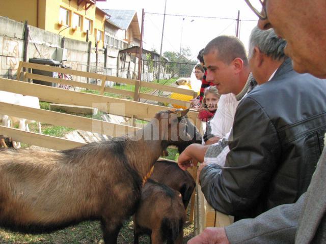 „Târgul Lăptarilor” şi „Drumul Lemnului” la Câmpulung