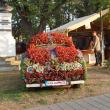 Maşina cu flori din Gura Humorului a fost adusă la Suceava