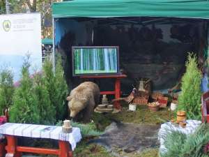 La standul Direcţiei Silvice sunt expuse animale împăiate