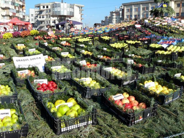 Sărbătoarea pomicultorilor din Fălticeni s-a desfăşurat în Piaţa „Nada Florilor”