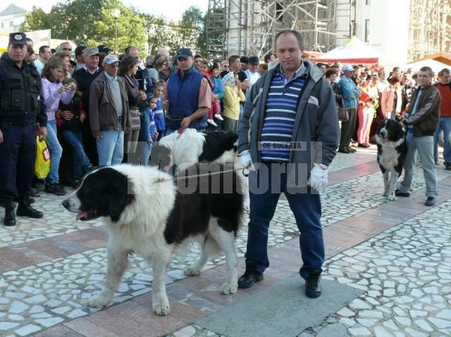 Parada Ciobăneştilor de Bucovina, la Fălticeni