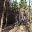 Monstrul de otel din Finlanda care înghite hectare de pădure într-o singură zi