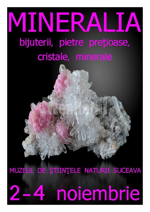 Expoziţia Mineralia