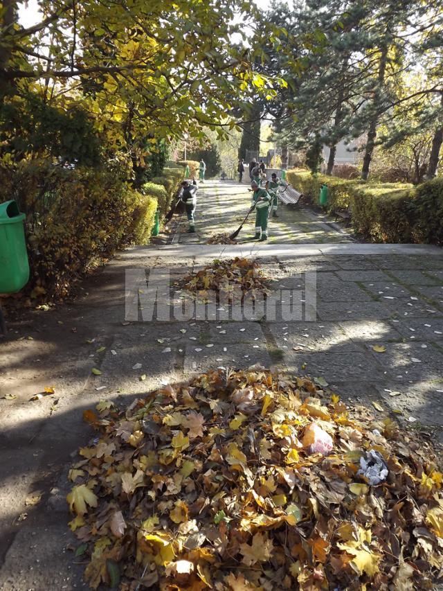 Aleile parcului dendrologic Şipote au fost curăţate ieri de gunoaie