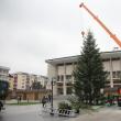 Bradul de Crăciun a fost adus din pădurile din zona Râşca, fiind donat Primăriei de către Direcţia Silvică