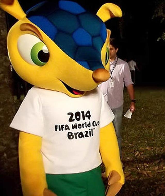 Mascota Cupei Mondiale 2014 se va numi „Fuleco”